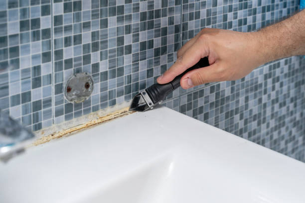 Best Home Mold Removal  in Red Lake, AZ