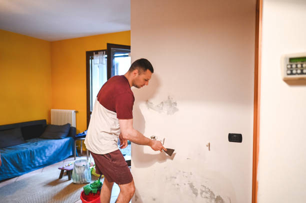 Best Office Mold Removal Services  in Red Lake, AZ